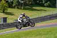 Middle Group Silver_Grey Bikes